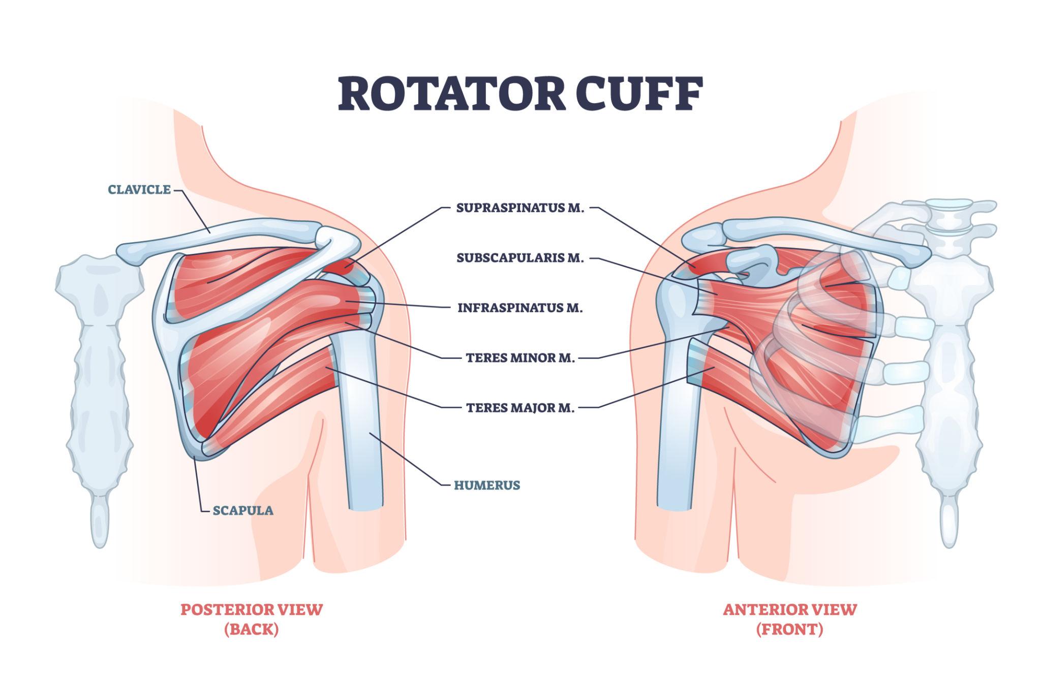 Person experiencing chronic shoulder pain and limited arm movement